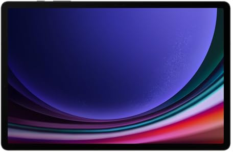 Samsung Galaxy Tab S9 Plus WiFi 12/512GB Gris (Reacondicionado)