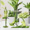 Garten Deko Figur Frosch Deko Yoga Frösche Gartenfigur aus Harz Teich Deko Frosch Ornament Gartendeko für Draußen Frühling Sommer Dekoration Tierfigur Für Blumentopf Balkon Geschenk (A+B+C)