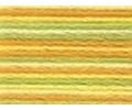 Anchor Home 50g Perlgarn Multicolor - Farbe 1304 - gelb/grün - Cotton 5