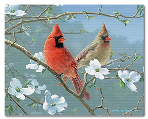 CounterArt Beautiful Songbirds Cardinal 3mm Tempered Glass Cutting Board 15” x 12” Serving Board Charcuterie Board
