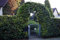 10 Stück Rotbuchenhecke Wurzelware 50-80 cm hoch im Rabatt-Paket - Fagus-sylvatica, floranza®