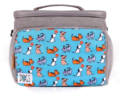 BiggDesign Wärmeisolierte Tasche, Kühlbox Lunchbox, wasserdichte und auslaufsichere isolierte Lunch-Taschen für Damen und Herren, Picknick-Kühltaschen, Lunchboxen für Erwachsene, 10L (Türkis)