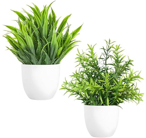 arrderly Lot de 2 petites plantes artificielles d'intérieur en pot pour décoration, bibliothèque, balcon, bureau, salle de bain