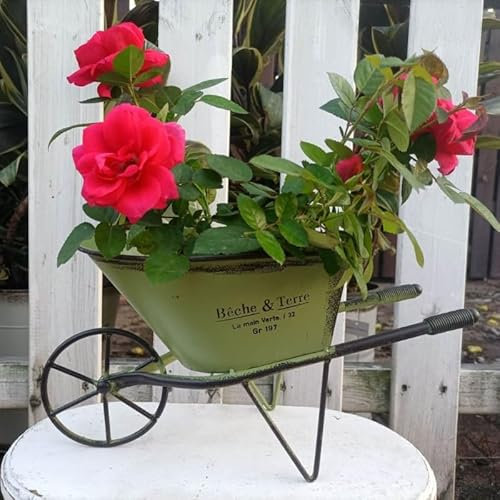 Wheelbarrow Planter, Iron Art Wheelbarrow, Garden Wagon Planter Cart, Plant Pot Stand for Patio Balcony, Small Novelty Pots Gardening Ornaments Outdoor for Backyard, 31x17x14cm