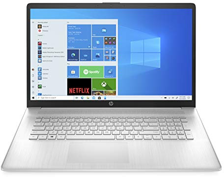 HP 17-cn0012ng (17,3 Zoll / HD+) Laptop (Intel Pentium Gold 7505, 8GB DDR4 RAM, 1TB SSD, Intel Grafik, Windows 10, QWERTZ-Layout) silber