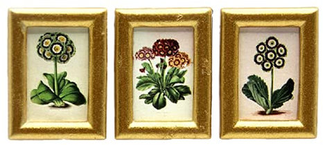Melody Jane Puppenhaus 3 Auriculas Blume kleines Bild Gemälde Goldrahmen 1:12 Zubehör