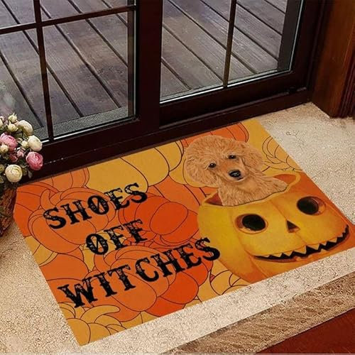 MIAOMANSENSTORE Door mat indoor Poodle Shoes Off Witches Doormat, Poodle Dog Lovers Home Doormat Home Decor