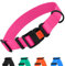 CollarDirect Wasserdichtes Hundehalsband Verstellbar – Silikon & Kunststoff, Geruchsresistent, Leicht zu Reinigen, Sicherheitsverschluss – für kleine, mittlere & große Hunde (Rosa, XL (45-66 cm))