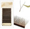Natuhana Colorées YY Extension Cils 0.07mm L Curl 8-14mm Mixte Forme Y 2D Premade Fan Bouquet Volume Russe Naturel Cils Professionnel Eyelash Extensions(Brun, 0.07, L, 8-14mm)