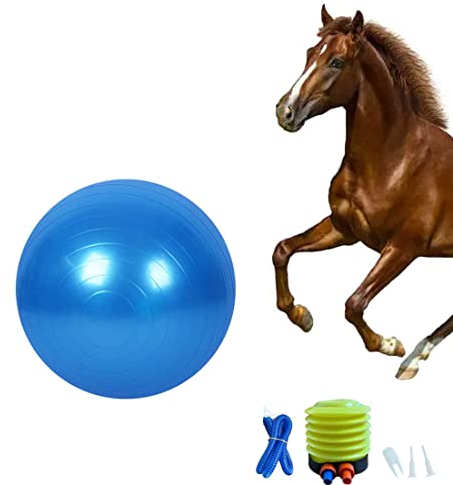 Huianpen Pferdeball-Trainingsspielzeug, Anti-Burst-Pferde-Übungsball mit Inflator-Pumpe für Pferd, Lamm und Ziege, Unterhaltungsspielzeug Ball (63,5 cm, blau)