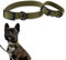SNIFFLS Premium Hundehalsband große Hunde, Oliv grün - Große Hunde (L) - Verstellbar, leicht, robust - einfach mit Wasser reinigen!