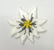 1A-Kurzwaren Aufnäher Bügelbild Aufbügler Iron on Patches Applikation Edelweiss Durchmesser 3,5cm Farbe: Weiss vor55-4