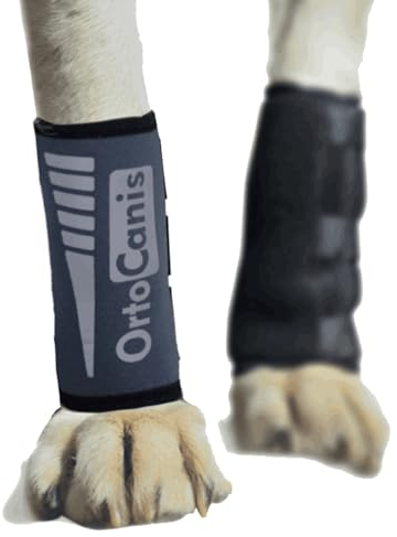 Ortocanis - Karpalgelenk-Bandage für Hund - Arthrose, Bänder- und Sehnenverletzungen oder Agility-Hunde - Hergestellt aus Neopren ARD - Größe XXS 5-8 cm