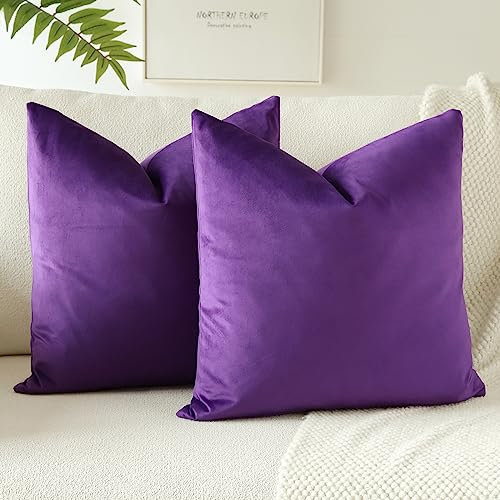 JOTOM Set Di 2 Fodere In Velluto Morbido Solido Fodere Di Cuscino Decorativo Cuscino Fodere Per Cuscini Da Letto Per La Decorazione Della Casa Per Divano Camera Da Letto 40x40 cm(Viola)