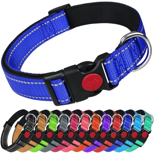 LARRYROO Reflective Dog Nylon Collar | Slide Lock Safety Buckle | Fully Adjustable | Soft Neoprene Padding (Royal Blue, Small (25cm - 40cm Neck))