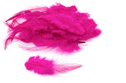 3g Hahnenkreuz Federn ca. 8-13cm (fuchsia/magenta 183D) // Dekofedern Bastelfedern Federn Hahn Natur Schmuckfedern Vogelfedern Hahnenfedern