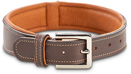 Jack & Russell Hundehalsband Leder Amy - Lederhalsband aus Echtleder - gepolstert & robust - Hunde Halsband doppellagig, kleine, mittelgrosse und große Hunde (XS, Braun)