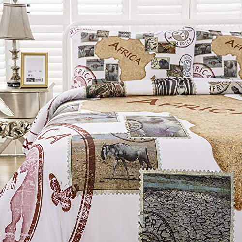 FANSU Bettwäsche-Set, Wahrzeichen der Stadt Drucken Schlafzimmer Mikrofaser Bettwäsche Set - Kissenbezug + Bettbezug mit Reißverschluss Schließung (Afrika,135x200cm)