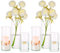 Hewory Vases Cylindriques en Verre Lot de 6, Grand Vase en Verre Transparent pour Fleurs, Support de Bougie pour Bougie Pilier Flottante, Vase à Fleurs pour Centre de Table pour Mariage, 14/19/24cm
