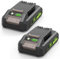 ASUNCELL 2 Pezzi 24V 4Ah Batteria per Greenworks, Batteria agli ioni di litio Ricambio Compatibile con Greenworks 24V Attrezzi G24B2 G24B4 29842 29852 BAG708 BAG711 20352 22232