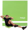 Fizyo Balance Pad Premium, Stabilisierendes Rutschhemmendes Balance-Pad aus Weichschaum für Yoga, Fitness, Pilates, Koordination und Ganzkörper-Training (Grün)