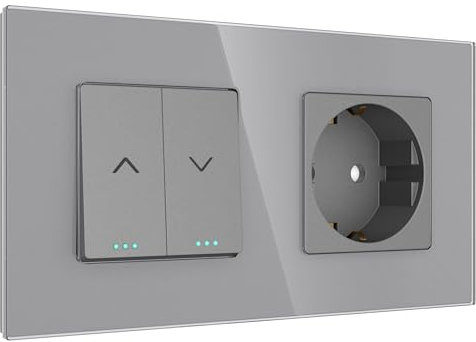 PULSAR Rolladentaster mit Steckdose Unterputz Glas Grau 2 Fach - Jalousietaster Rollo/Rouleau/Jalousette Taster mit Wandsteckdose 157 x 86mm