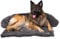 pfoten&nasen® Hundebett Sofa [Dunkelgrau, M - 90x80cm], Sofabett Hund, Sofaschutz Hund, Wasserdicht Hundematte Waschbar, Hundekissen für Große, Mittelgroße und Kleine Hunde, Hundesofa.