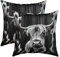 Kinder Hochland Cow Kissenbezüge 45x45cm 2er Set Kissenbezüge Weich Hochland Cattle Kissenbezug Kissenhülle Bauernhaus Tier Dekorative Sofakissen Couchkissen Western Dekor Grau Dekokissens
