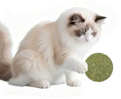humyeam Catnip Balls for Cats - 2 inches Diameter Catnip Ball, Interactive Cat Toy for Indoor Cats, Cat Nip Licking Balls