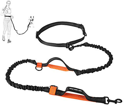 Mile High Life | Laisse Rétractable Mains Libres 2m pour Chien 50 Kg | Réfléchissante | pour Petit, Moyen Et Grand Chien | (Marrone)