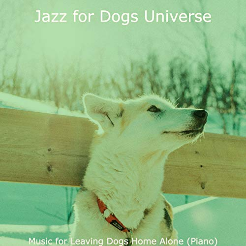 Music for Leaving Dogs Home Alone (Piano)