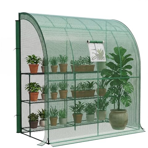 LARMNEE Invernadero Adosado a la Pared para Tomates, con Lona PE Impermeable y Cortinas Enrollables a Ambos Lados, 200 x 100 x 210 cm, Hortalizas y Plantas en Balcón, Jardín, Terraza, Verde EGN72GH02
