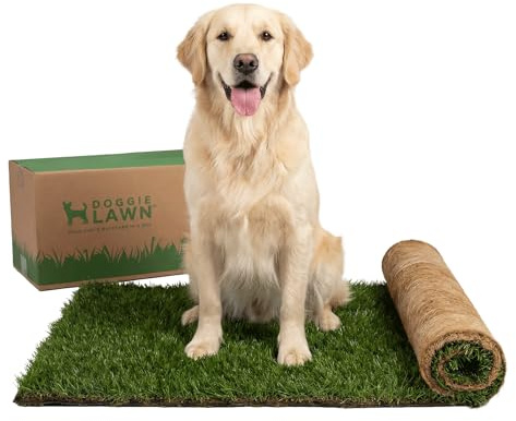 DoggieLawn XL Real Grass Puppy Pee Pads, Dog Litter Box Alternative 24x48