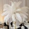 JAWSEU 10 Stück Natürliche Straußenfedern, 45-50 cm (18-20 Zoll) Strauß Feder Plume für Hochzeit Mittelstücke Dekoration, weiß