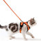 Katzengeschirr mit Leine Ausbruchsicher Katzenleine Set Verstellbar weich Kätzchenweste mit Reflektierenden Streifen Brustgeschirr für kleine Kitten (Orange, S)