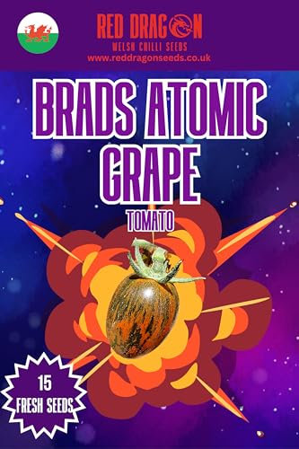 Cherry Tomato Seeds (Brads Atromic Grape)