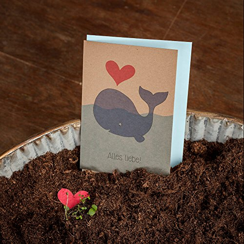 Die Stadtgärtner Liebesbrief/Hochzeitskarte Wal mit Herz - Kraftkarton-Glückwunschkarte zum Einpflanzen (Wildblumen) - Karte für Verliebte oder Gratulationskarte zur Hochzeit 4