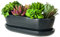 botle Blumentopf Blumenübertopf Graphit Kaktenschale mit Untersetzer Oval LxBxH 13 cm x 27,5 cm x 8 cm Oberfläche Glanz Kakten Keramik Modern Glamour