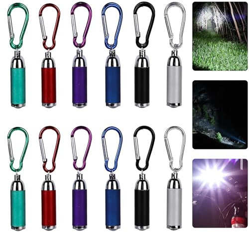 12 Stück Mini LED Taschenlampe: Kinder Mini Taschenlampe mit Schlüsselbund, Farbige Aluminium Klein Kindertaschenlampe Wasserdicht, für Camping Outdoor Wandern Kleine Geschenke