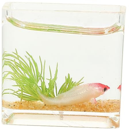 INOOMP Miniatur Fisch Tank Dekoration Aquarium Für Miniatur Häuser Tisch Dekoration Für Kleine Landschaften Und Deko