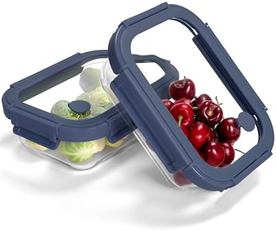 BOROHOUSE Vorratsdosen Glas 2er Set 630ml – Glas Frischhaltedosen mit Glasdeckel, luftdicht & BPA-frei, Meal Prep Boxen, Lebensmittel Aufbewahrungsbox Glas, ofenfest geeignet -20℃~510℃,Blau