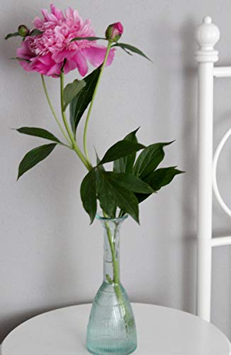 Blumenvase Vase Glasvase recyceltem Glas 23 cm hoch Gross Modern schlank Deko - KE -