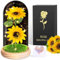 BOLEi Geschenke für Frauen, Ewige Sonnenblume für Fraue, Sonnenblumes Hochzeitstag Überraschung für Frauen, Ewige Blume im Glas Überraschung für Mama (Warmgelbe Sonnenblume)