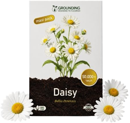 Grounding Maxi – Semi Margherita, 50000+ Semi per Prato, Aiuole e Vasi | Fiori Bianchi alti 15 cm per Prato, Bordure, Aiuole e Vasi, Copertura 50 m², Qualità Europea