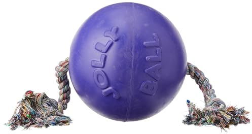 Jolly Pets Romp-n-Roll, Balle Jouet avec Corde, pour Chien, Taille L 20,3 cm, Violet, Grandes Races