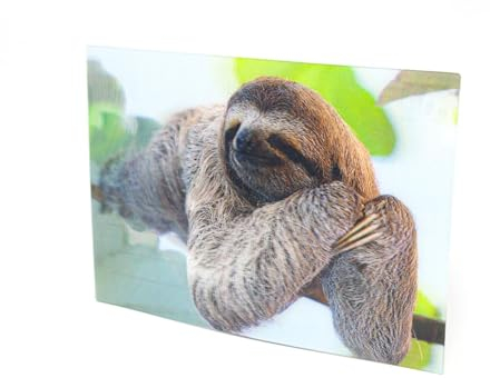 3 D Ansichtskarte Faultier, Postkarte Wackelkarte Hologrammkarte Tier Faultiere
