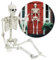 com-four® 160cm Deko Skelett für Halloween - XXXL-Skelett aus Kunststoff zum Aufhängen und Aufstellen - Lebensgroßes Skelett mit beweglichen Gelenken - hoher Grusel-Faktor (XXXL - 1 Skelett - 160cm)
