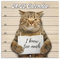 Wandkalender 2024 – lustige Katze 2024, Januar Dezember Gag Geschenk Memes Bilder, 30,5 x 61 cm geöffnet, ideal als Geschenk für weiße Elefanten, Streichbraun (YAMMBQBQMD24A01)