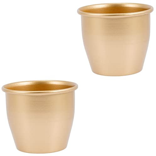 POPETPOP 2pcs Metal Succulent Planter Pot for Small Pot for Room Balcony Modern Decorative Planter Pots