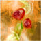 Wallario Glasbild Abstrakte Rosen - 55 x 55 cm Wandbilder Glas in Premium-Qualität: Brillante Farben, freischwebende Optik